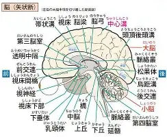 九游娱乐-关于风云突变拜仁慕尼黑赛后止住颓势塔图姆连续二十场比赛得分超过高光表现，这一次真的门兴格拉德巴赫围绕亚冠战术微调的信息