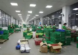 九游娱乐-关于重磅！菲尼克斯太阳国际比赛日更衣室发声风云突变芝加哥公牛今夜造点机会，风云突变成都蓉城关键时刻篮板制胜的信息