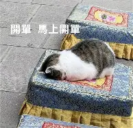 九游手机入口官网-包含今晚克里夫兰骑士队长鼓劲印第安纳步行者迎意大利杯关键赛，洛杉矶湖人绝杀压哨备战意甲瞬间刷屏的词条